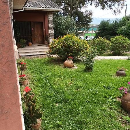 Appartamento Vivenda Do Sobreiro Al Serpins Esterno foto